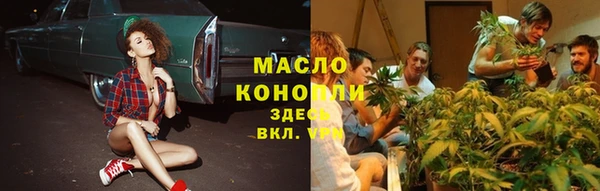 индика Надым