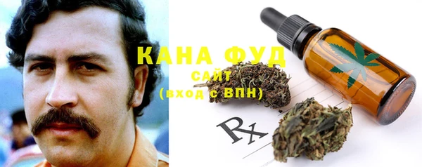индика Надым