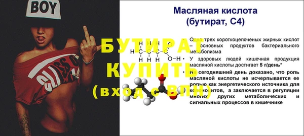 индика Надым