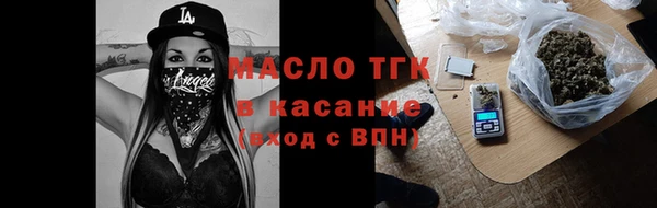 индика Надым
