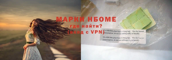 индика Надым