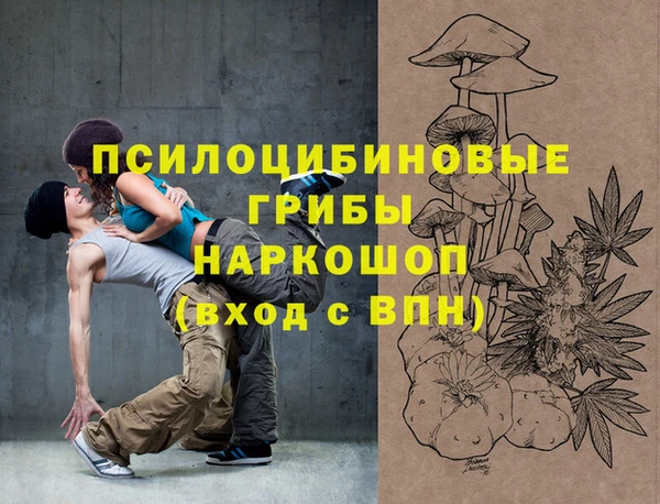 ГАЛЛЮЦИНОГЕННЫЕ ГРИБЫ Наволоки