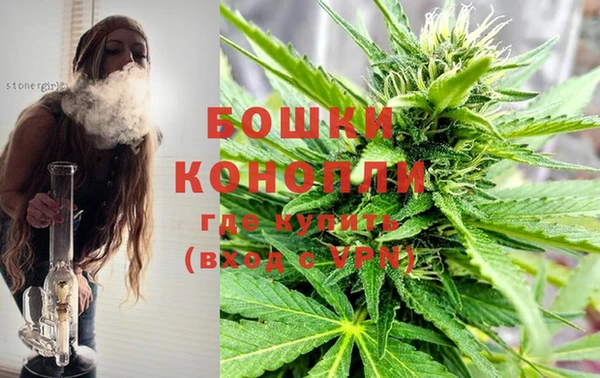 индика Надым