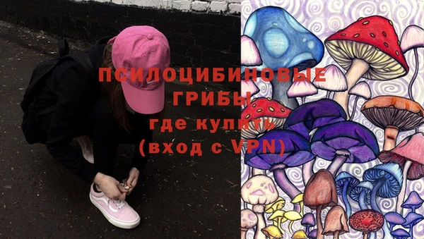 винт Абаза
