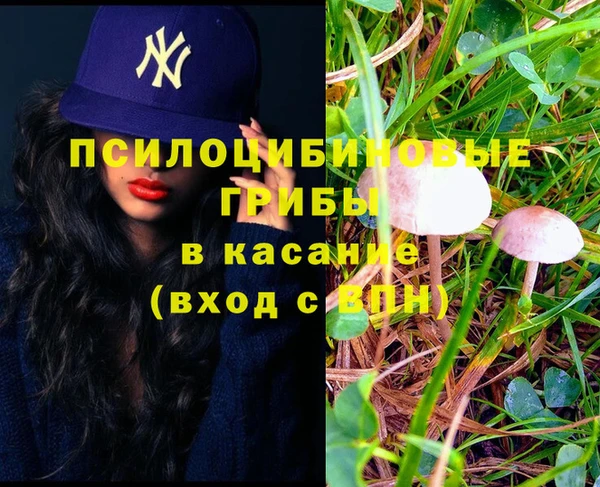 винт Абаза